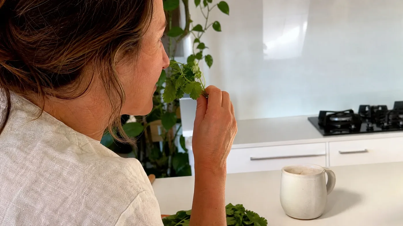 Why Coriander Tastes Like Soap: What the Gene Study Shows
