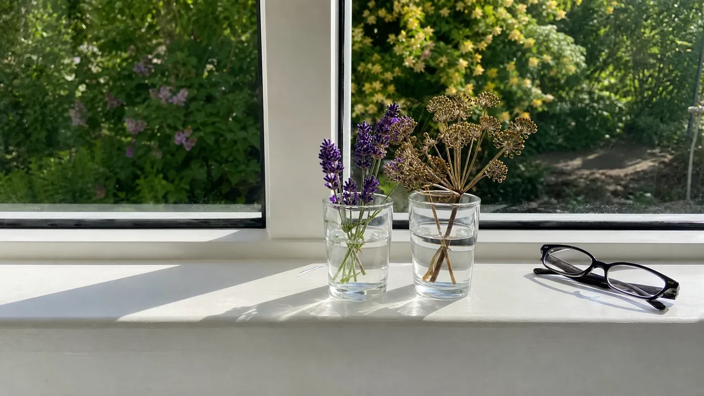 Coriander vs Lavender Oil: Two Linalool-Rich Oils Compared