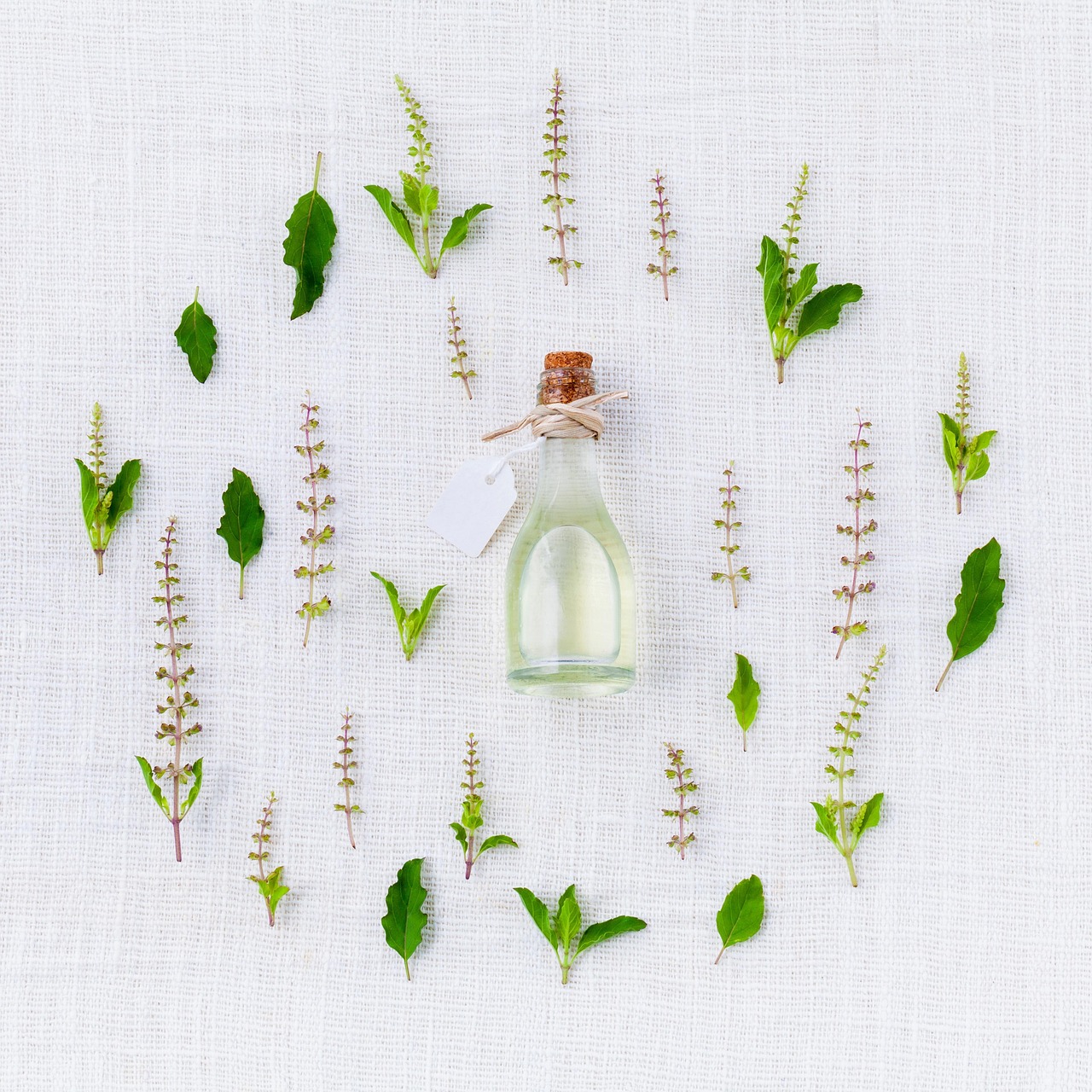 What Is Coriander Seed Essential Oil? A Complete Guide